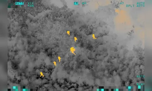 PM usa câmeras térmicas para prender suspeito com 215 kg de drogas no PR