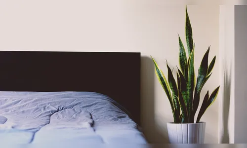 Jovem é agredido após passar noite na casa de amiga em Apucarana