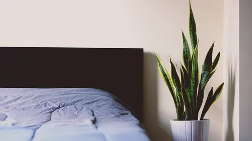 Homem foi agredido após dormir com amiga