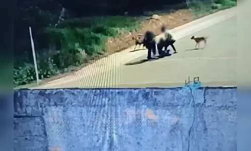 Homem morre após levar 13 facadas no Paraná; vídeo
