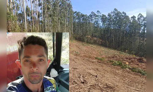 Trabalhador morre durante corte de eucaliptos no Paraná