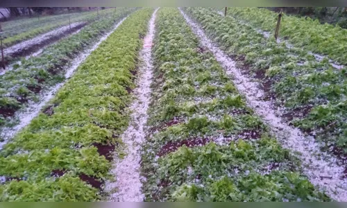 Temporal deixa rastros de destruição em Novo Itacolomi