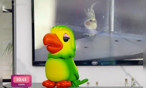 Descubra qual o salário do Louro Mané, ator do programa Mais Você