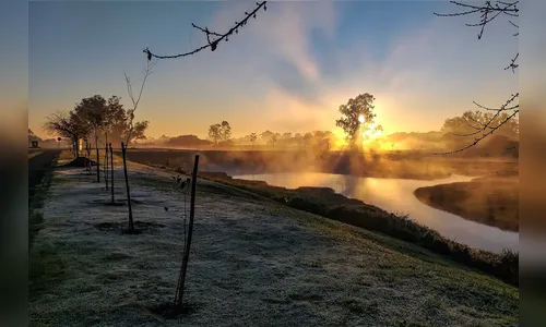 Após geadas, frio deve diminuir nos próximos dias no PR; veja