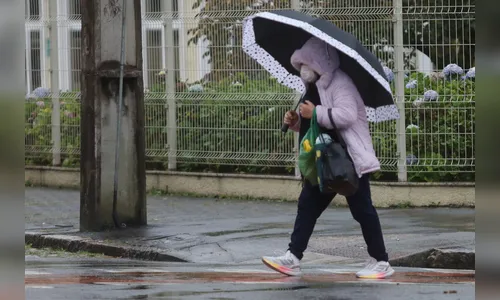 Primeira semana de junho tem chuva moderada em todo o Paraná