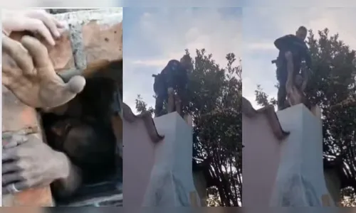 Vídeo mostra ladrão entalado em chaminé ao tentar invadir casa no PR
