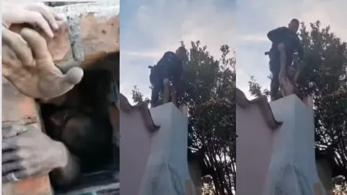 Momento em que ladrão é retirado da chaminé foi registrado