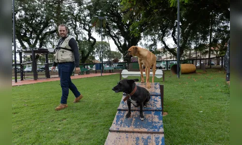 Centro de Saúde Animal alerta sobre responsabilidades de tutores de cães e gatos