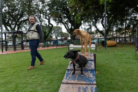Muitas das denúncias recebidas pelo Cemsa, afirma o coordenador, não são confirmadas na fiscalização