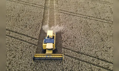 PIB do Paraná cresce mais que o dos EUA em 2025