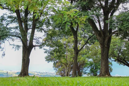 O dia amanheceu com baixas temperaturas