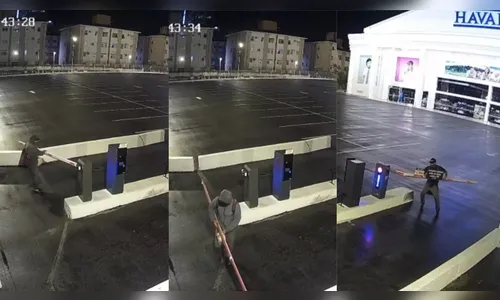 'Véio da Havan' vai dar R$ 10 mil de recompensa para quem achar ladrão