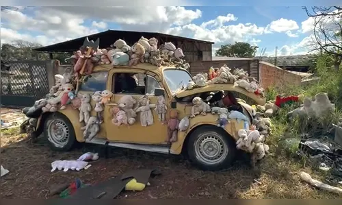 Fusca de pelúcia é recuperado após furto