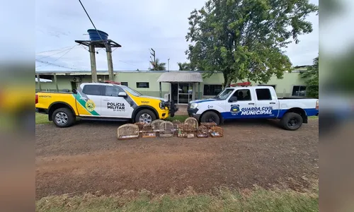 Aves são resgatadas no Jardim Ponta Grossa, em Apucarana