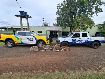 O homem, que não teve a identidade divulgada, foi encaminhado para a Polícia Ambiental