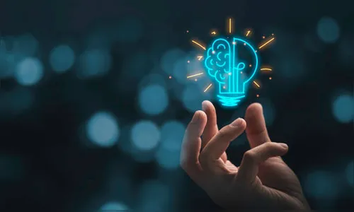 O Poder Público como Indutor da Inovação e do Desenvolvimento Local