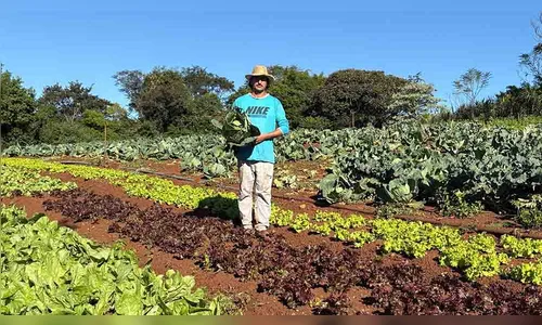 Compra Direta leva alimentos a 9 mil pessoas na região de Ivaiporã
