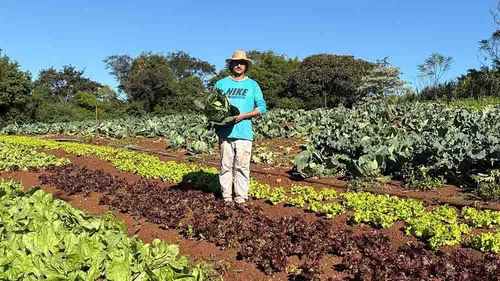 O programa compra alimentos de cooperativas e associações da agricultura familiar