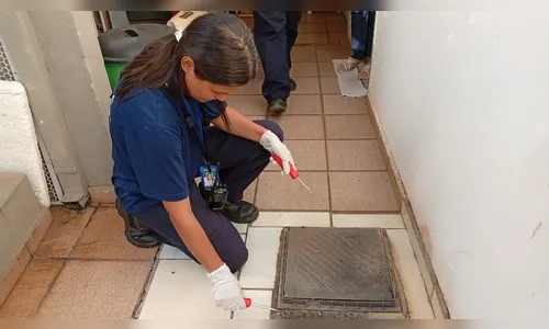 Sanepar inicia vistoria de ligações de esgoto em 6 mil imóveis em Apucarana