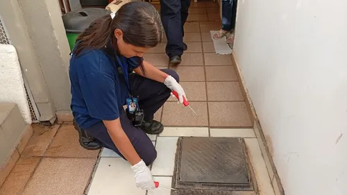 O trabalho consiste no uso de corantes em pontos de lançamento do esgoto dentro das residências
