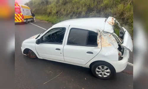 Motorista com CNH vencida bate carro em barranco na BR-376; veja