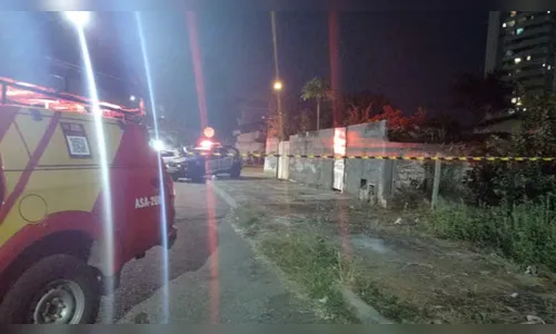 Bebê morto por pitbull foi arrancado do colo da mãe, diz bombeiros