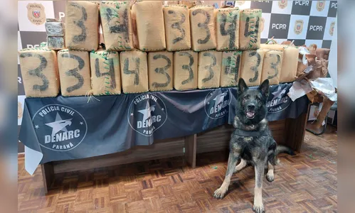 Polícia Civil realiza maior apreensão de haxixe da história do Paraná