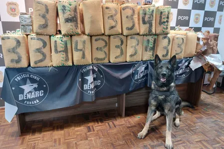 Operação ocorreu em Campina Grande do Sul,