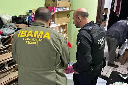 Operação ocorreu nesta terça-feira