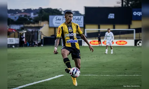 Onde assistir Operário-PR x Novorizontino nesta segunda-feira ao vivo