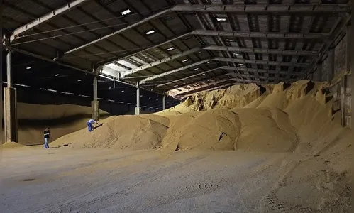 Polícia Federal mira adulteração em cargas de grãos no Paraná