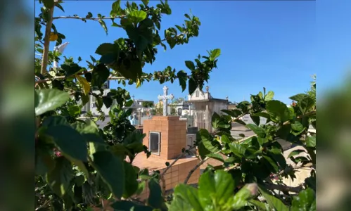 Confira os falecimentos deste domingo (15) em Apucarana e região