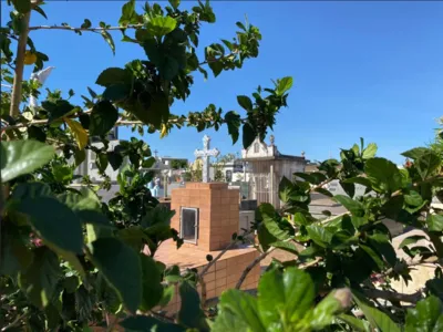 Os sepultamentos acontecem neste domingo (15)