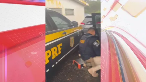 PRF encontrou droga erm carro que veio de Foz do Iguaçu
