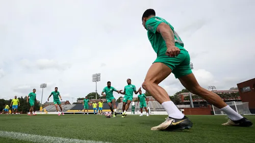 Palmeiras intensifica preparação para o Mundial de Clubes com treinos focados