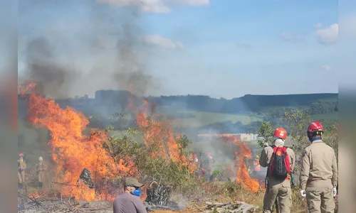 Paraná reforça alerta contra incêndios florestais