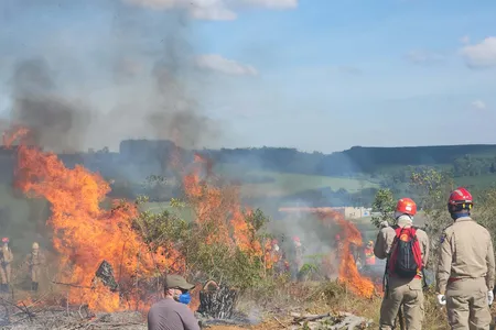 Paraná reforça alerta contra incêndios florestais