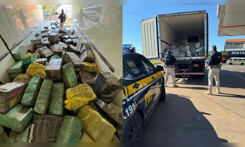 PRF apreende quase oito toneladas de maconha na BR-369 em Cambé; vídeo