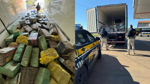 Quase oito toneladas de maconha apreendidas