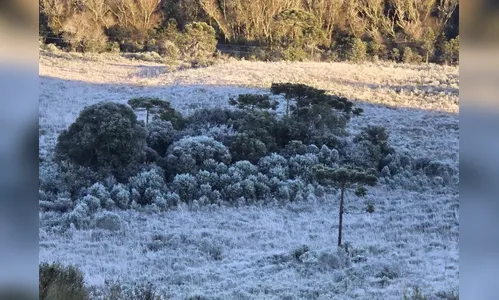 Cidade no Brasil registra -6,5°C, recorde de frio em 2025; saiba onde