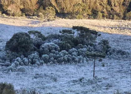 São Joaquim, na serra catarinense