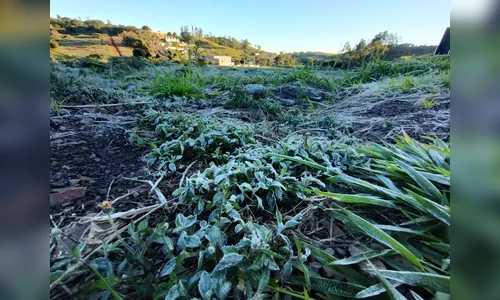 Quando acaba o frio? Simepar prevê elevação nas temperatura e chuva