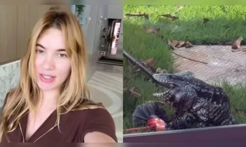 Animal exótico invade mansão de Virginia Fonseca