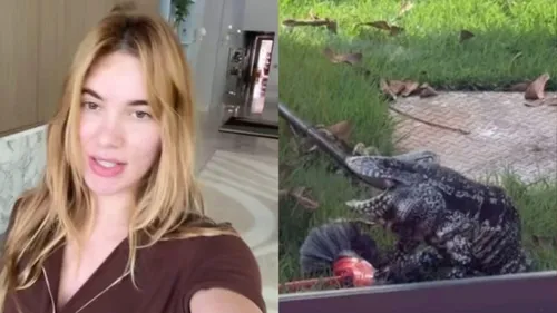 "Vixi, o bicho é bravo"