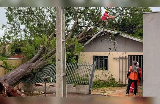 Em 7 dias, ao menos 10 pessoas já fraturaram crânio ou coluna em Apucarana ao cair do telhado