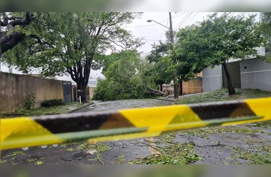 Com agravamento do El Niño, Defesa Civil do PR prevê que outubro supere recorde de desastres de setembro