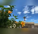 Confira os falecimentos deste sábado (21) em Apucarana e região