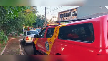 Idoso de 81 anos morre após cair de árvore durante poda em Londrina