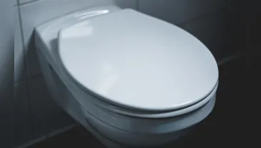 Por que não devemos jogar papel higiênico nem lixo no vaso sanitário e dar descarga?