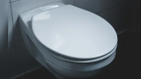 Por que não devemos jogar papel higiênico nem lixo no vaso sanitário e dar descarga?